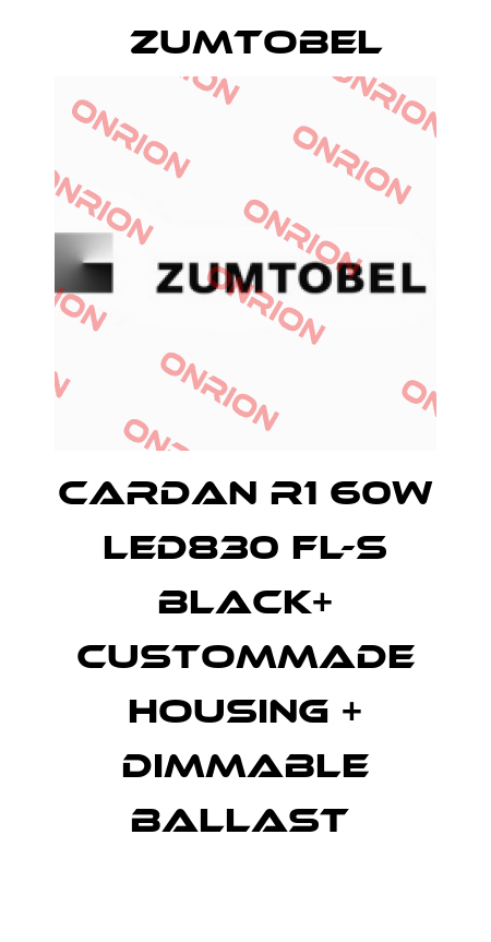 CARDAN R1 60W LED830 FL-S BLACK+ CUSTOMMADE HOUSING + DIMMABLE BALLAST  Zumtobel